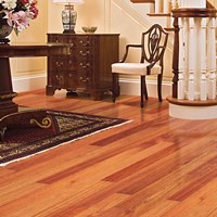 Ark Elegant Exotics Solid Wood Flooring at Discount Prices